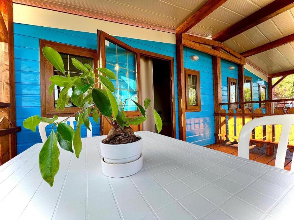 Camping Village Tuscia Tirrenica Tarquinia Eksteriør bilde