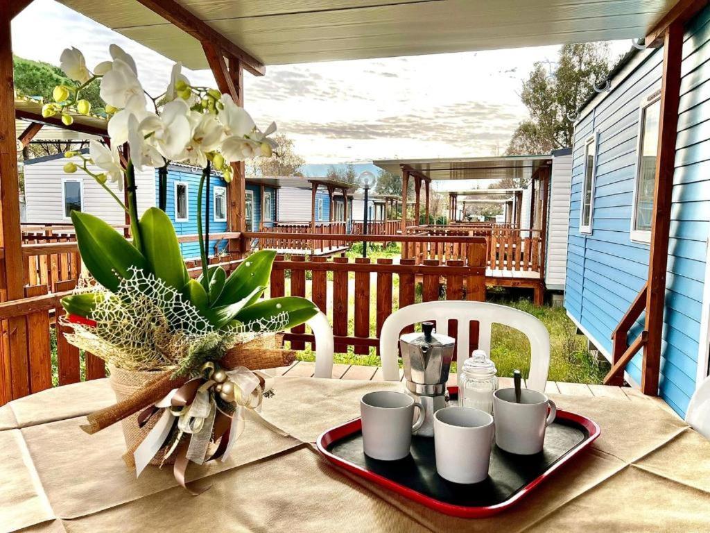 Camping Village Tuscia Tirrenica Tarquinia Eksteriør bilde